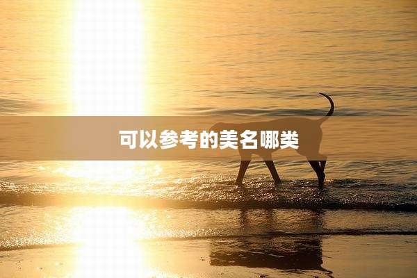 可以参考的美名哪类