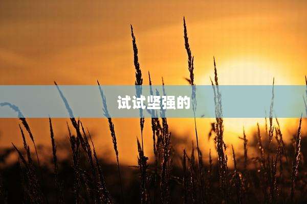 试试坚强的