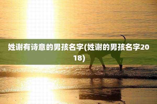 姓谢有诗意的男孩名字(姓谢的男孩名字2018)