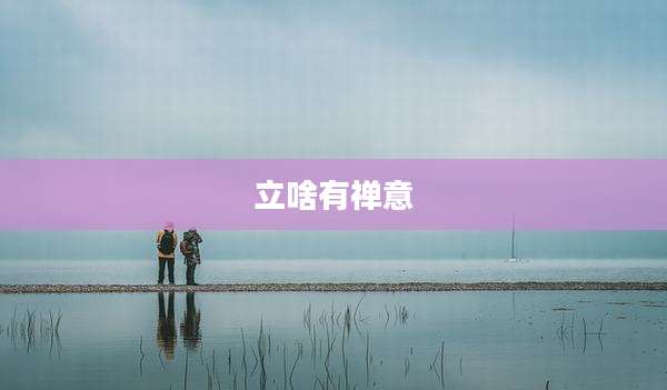 立啥有禅意