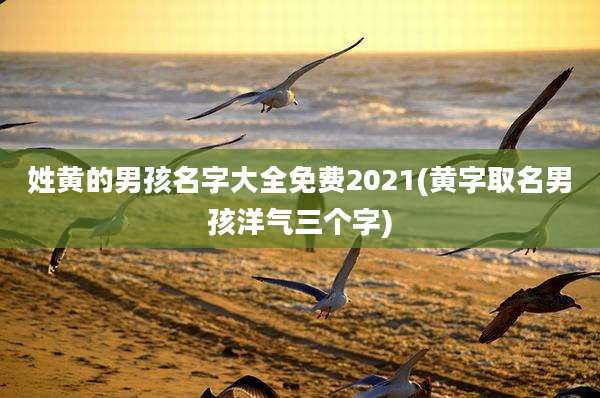 姓黄的男孩名字大全免费2021(黄字取名男孩洋气三个字)