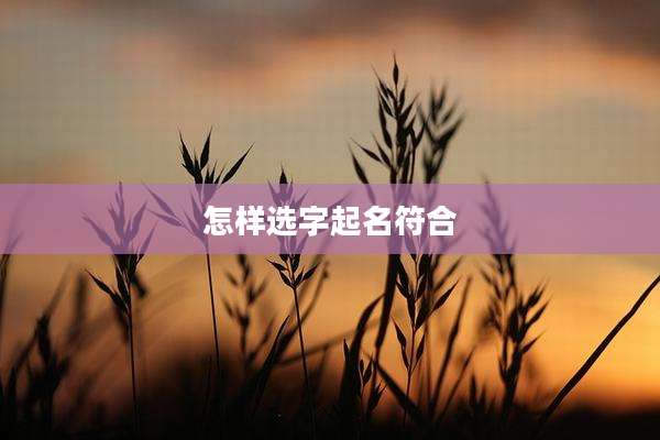 怎样选字起名符合