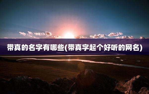 带真的名字有哪些(带真字起个好听的网名)