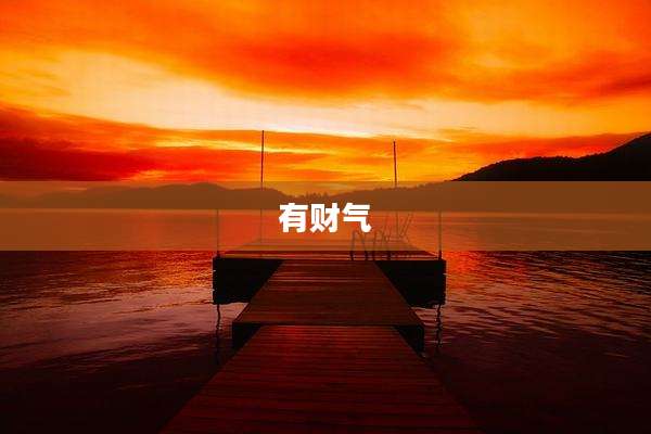 有财气