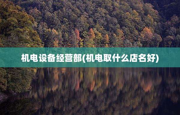 机电设备经营部(机电取什么店名好)