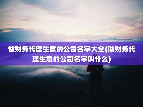 做财务代理生意的公司名字大全(做财务代理生意的公司名字叫什么)