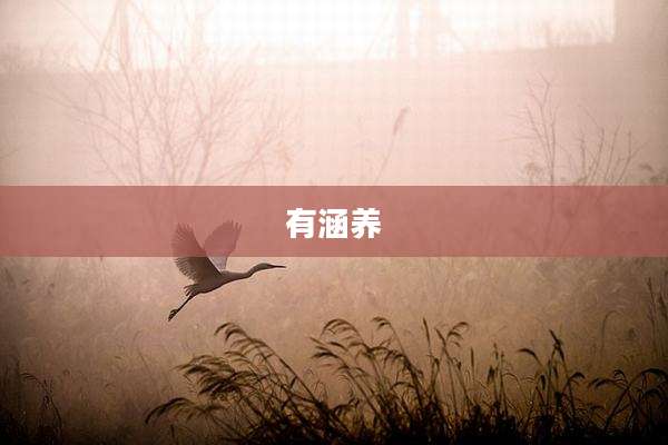有涵养