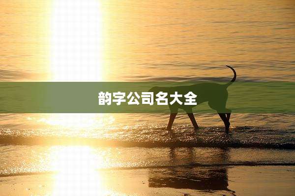 韵字公司名大全