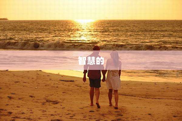 智慧的