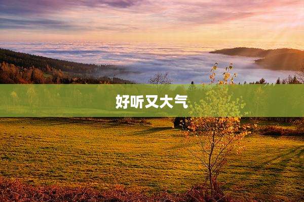 好听又大气