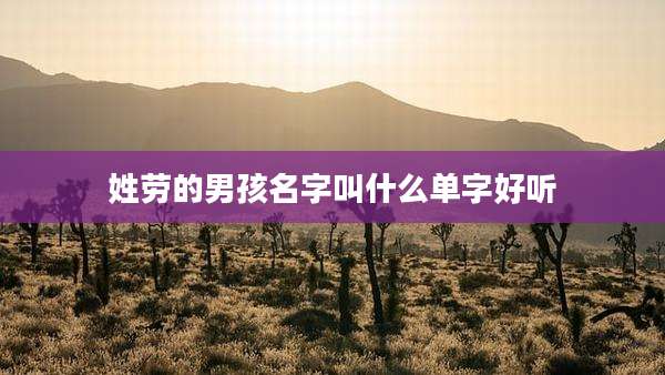 姓劳的男孩名字叫什么单字好听