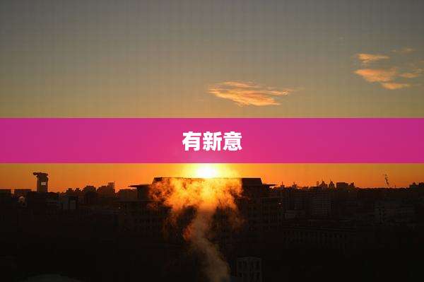 有新意