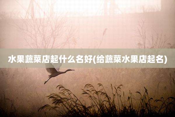 水果蔬菜店起什么名好(给蔬菜水果店起名)
