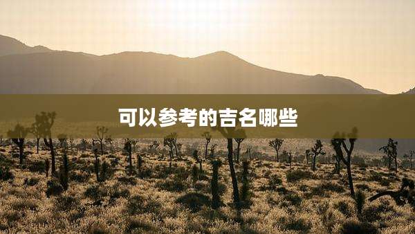 可以参考的吉名哪些