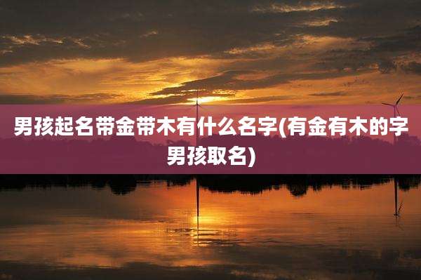 男孩起名带金带木有什么名字(有金有木的字男孩取名)