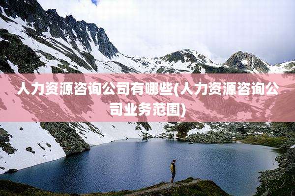 人力资源咨询公司有哪些(人力资源咨询公司业务范围)