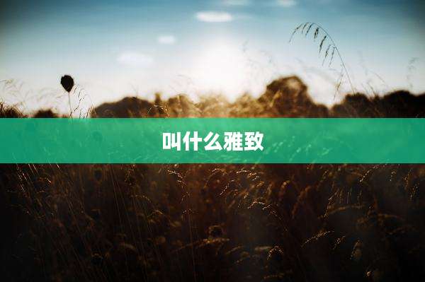 叫什么雅致