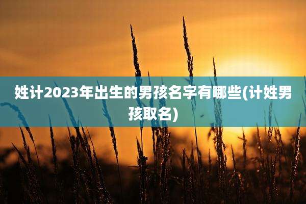 姓计2023年出生的男孩名字有哪些(计姓男孩取名)