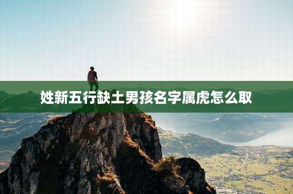 姓新五行缺土男孩名字属虎怎么取