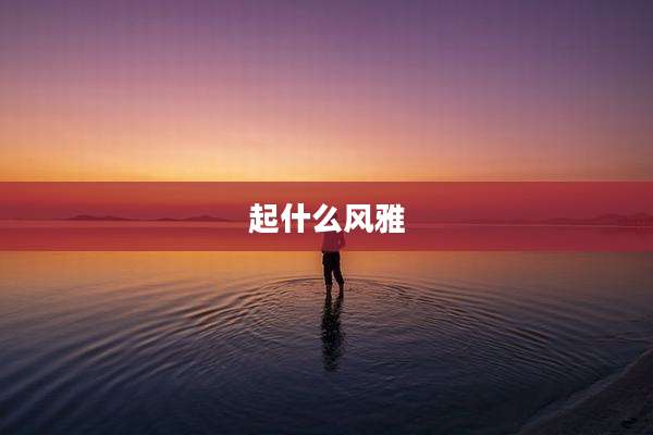 起什么风雅