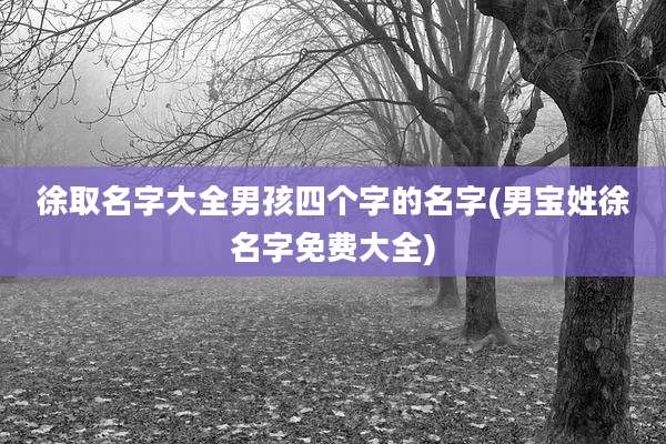 徐取名字大全男孩四个字的名字(男宝姓徐名字免费大全)