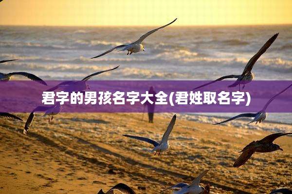 君字的男孩名字大全(君姓取名字)