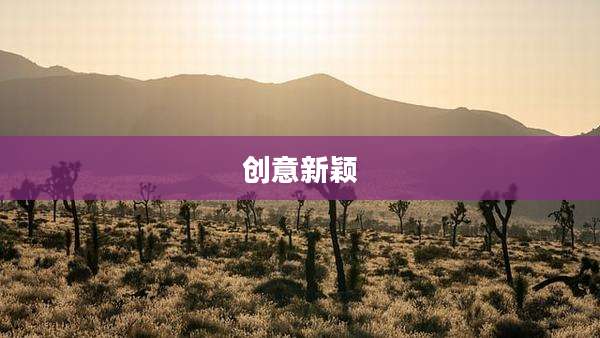 创意新颖