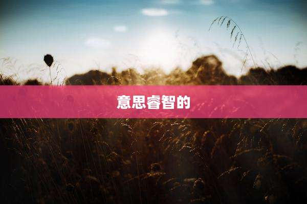 意思睿智的
