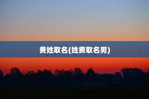 费姓取名(姓费取名男)