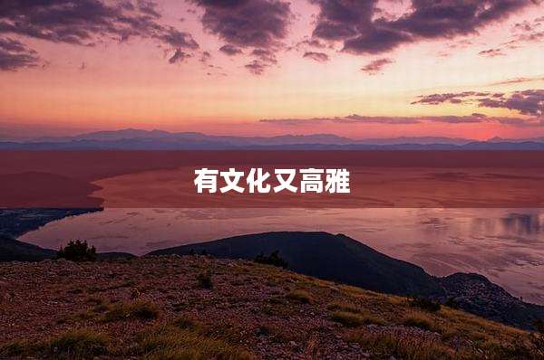 有文化又高雅