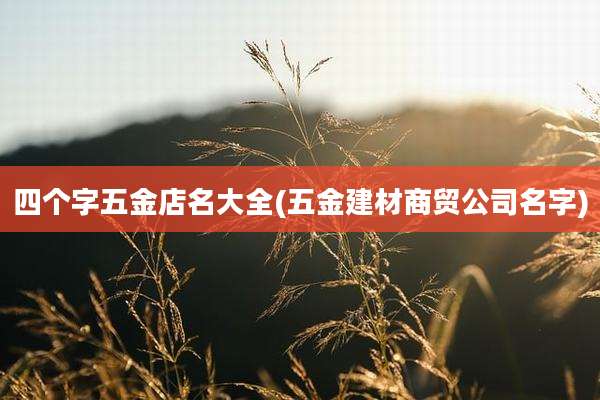 四个字五金店名大全(五金建材商贸公司名字)