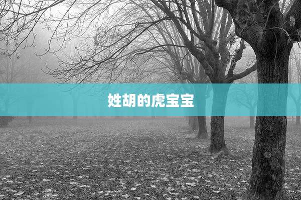 姓胡的虎宝宝