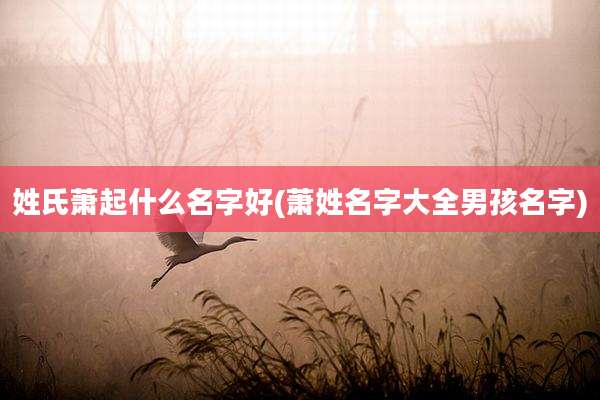 姓氏萧起什么名字好(萧姓名字大全男孩名字)