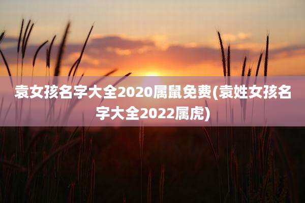 袁女孩名字大全2020属鼠免费(袁姓女孩名字大全2022属虎)