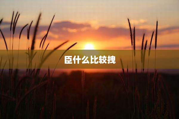臣什么比较拽
