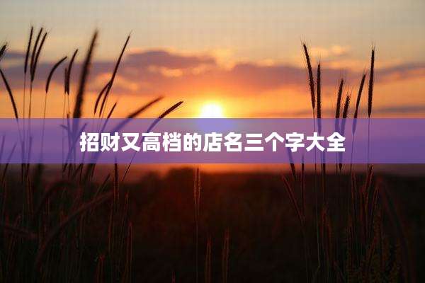 招财又高档的店名三个字大全