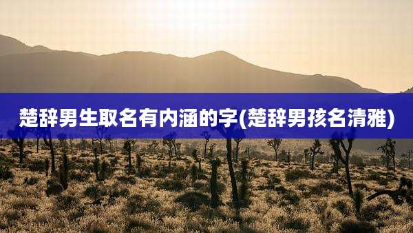 楚辞男生取名有内涵的字(楚辞男孩名清雅)