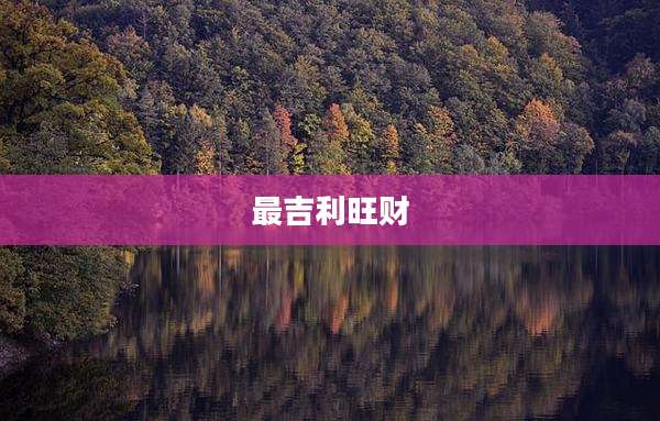 最吉利旺财