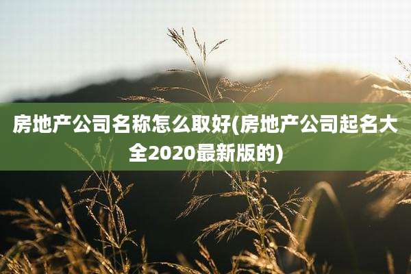 房地产公司名称怎么取好(房地产公司起名大全2020最新版的)