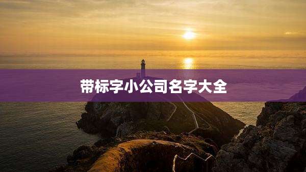 带标字小公司名字大全