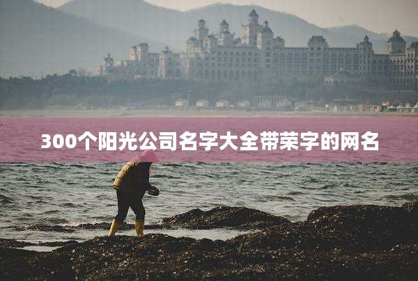 300个阳光公司名字大全带荣字的网名