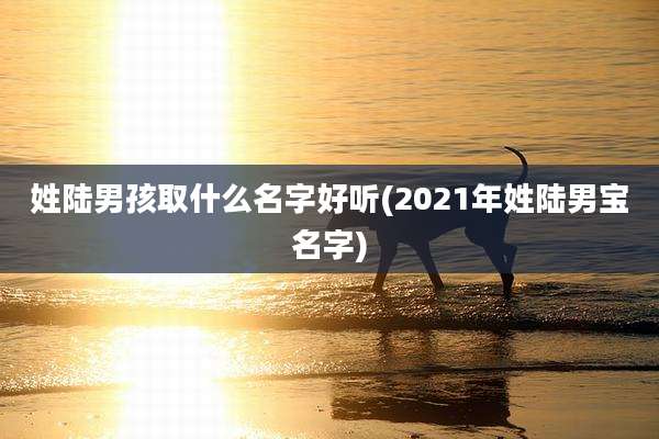 姓陆男孩取什么名字好听(2021年姓陆男宝名字)