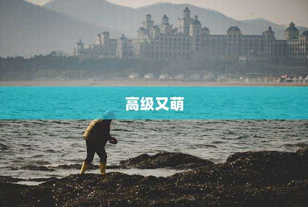高级又萌