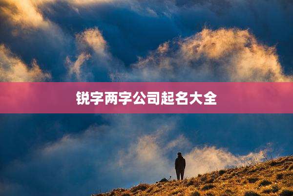 锐字两字公司起名大全