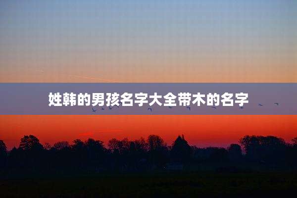 姓韩的男孩名字大全带木的名字