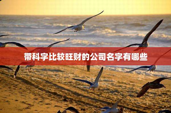 带科字比较旺财的公司名字有哪些