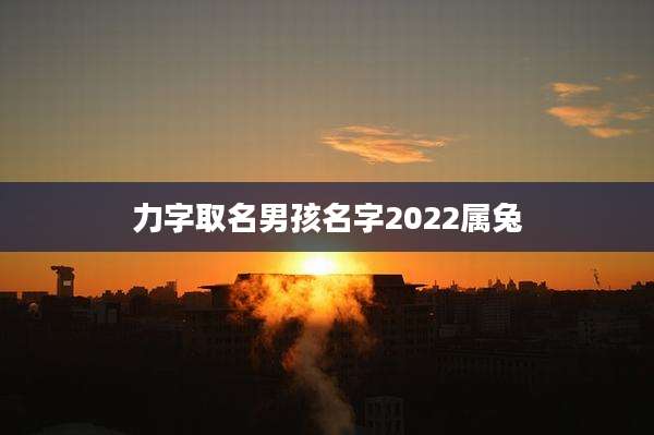 力字取名男孩名字2022属兔