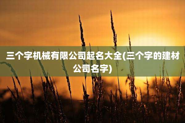 三个字机械有限公司起名大全(三个字的建材公司名字)