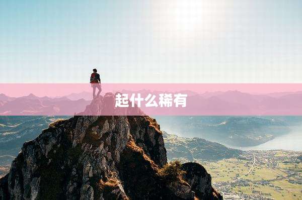 起什么稀有