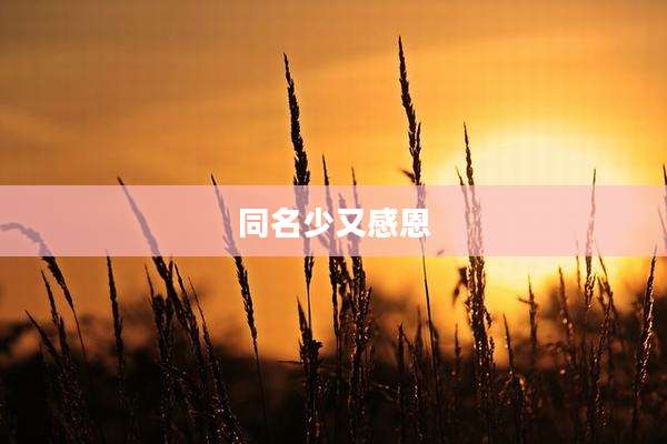同名少又感恩